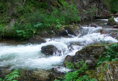 Ереван хочет повернуть кавказские реки вспять