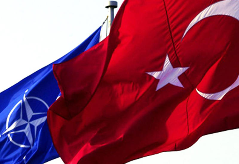 Союзники по НАТО солидарны с Турцией
