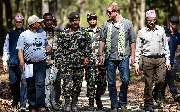Британский принц притворился тигром в нацпарке Непала