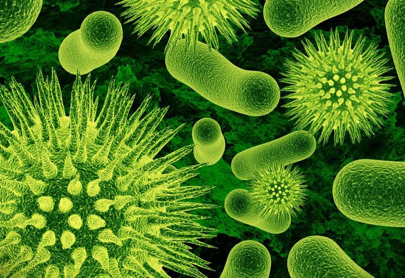 Ученые нашли более ста вирусов, способных заменить антибиотики