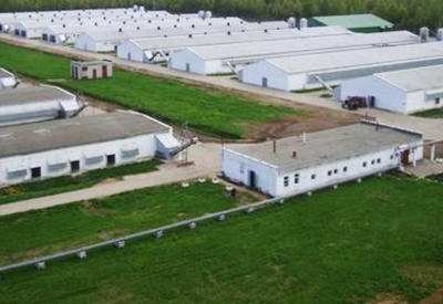 Компания из Азербайджана может стать резидентом дагестанского индустриального парка