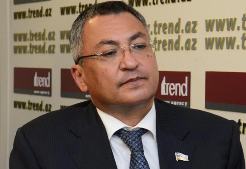 Ровшан Рзаев: Мнения армянского депутата далеки от человеческого мышления