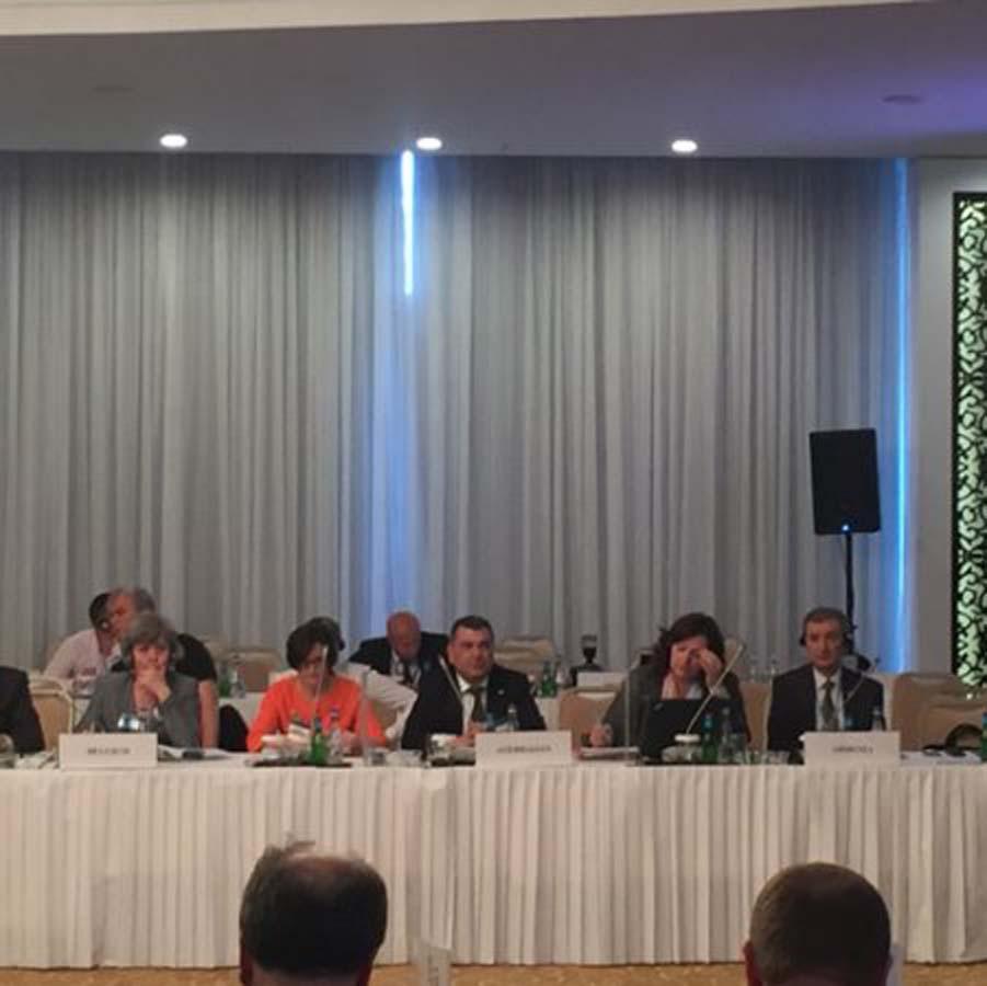 FAO об успешном опыте Азербайджана в агросекторе