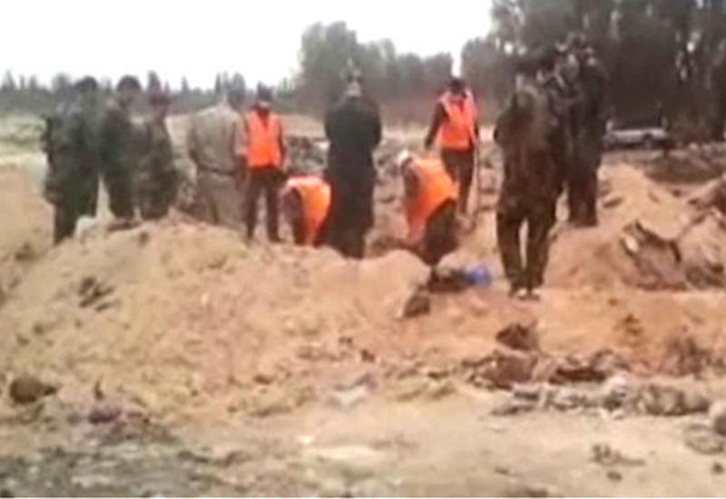В Пальмире нашли второе захоронение казненных "ИГ" местных жителей