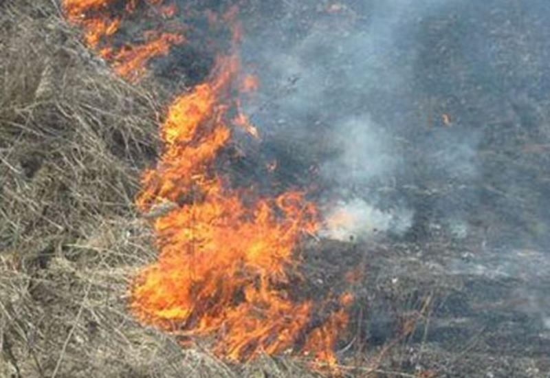 Сильный пожар в Масазыре
