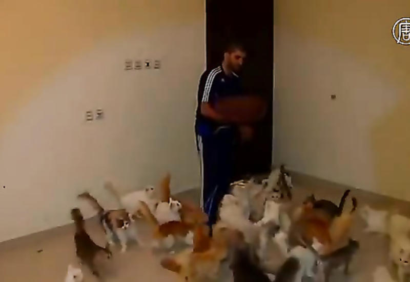 Житель Саудовской Аравии устроил в квартире приют для животных