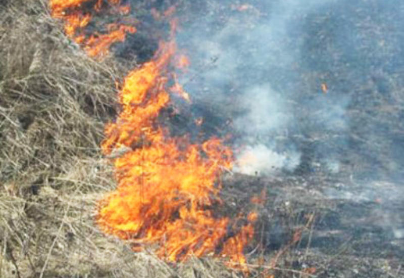 Пожар на открытой местности в Баку