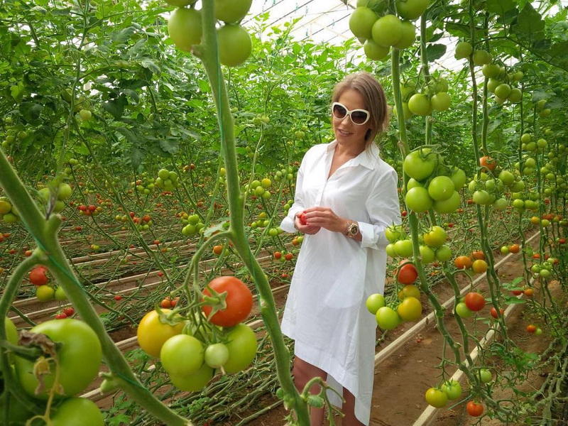 Российские звезды и самые вкусные в мире бакинские помидоры
