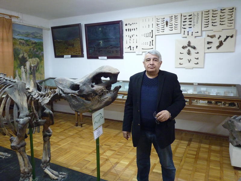 Жили ли на территории Азербайджана динозавры?