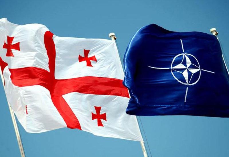 НАТО о будущем членстве Грузии в альянсе