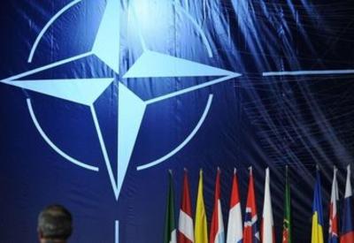 Имре Ласлоцки: Азербайджан является стратегическим партнером НАТО