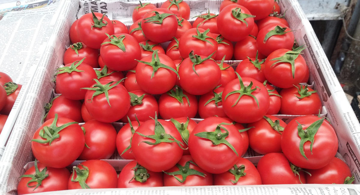 Россия разрешила ввоз томатов еще 12 азербайджанских производителей