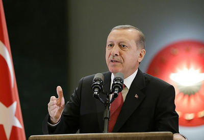 Ərdoğan: "Zeytun budağı" əməliyyatı başlayandan 4464 terrorçu zərərsizləşdirilib