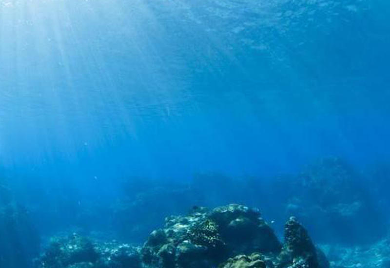 Ученые обнаружили таинственную светящуюся сферу на дне океана