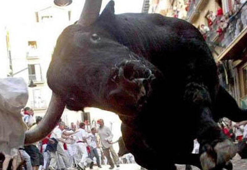 Жуткие кадры: агрессивный бык разнес банк в Испании