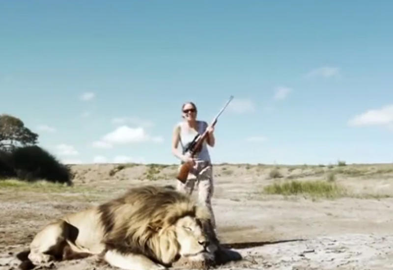 В Африке лев отомстил охотникам-браконьерам, убившим его друга