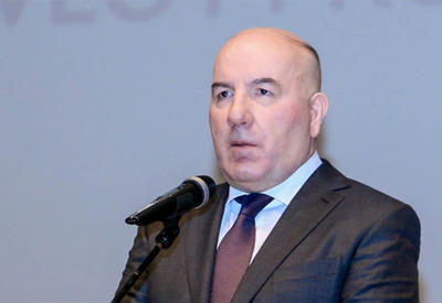 Elman Rüstəmovdan manatla bağlı şad xəbər