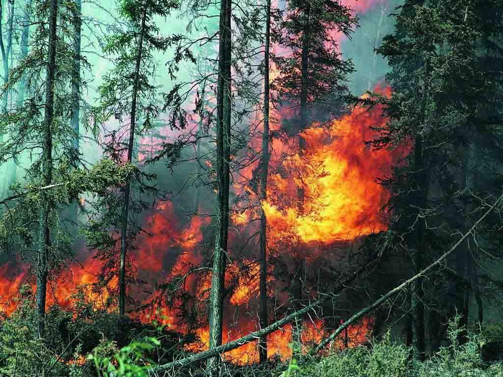 Катастрофические пожары в Калифорнии создали новую угрозу