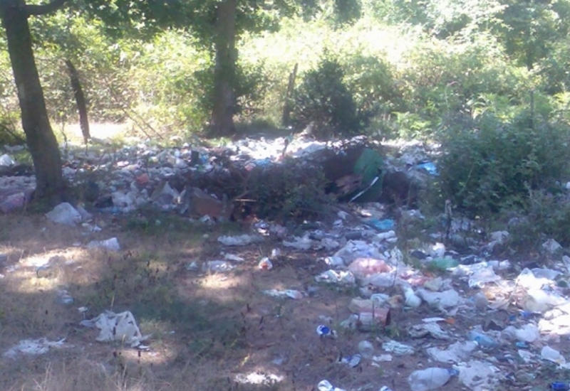 Чиновника в Набрани наказали за горы мусора в лесу