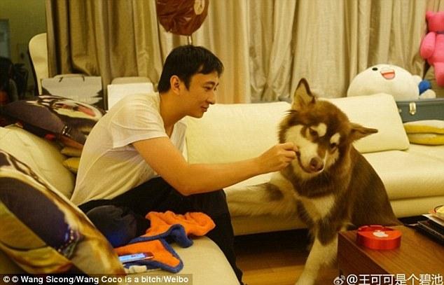 Сын китайского миллионера купил своей собаке восемь iPhone 7