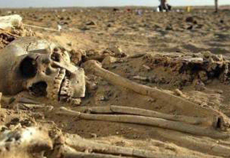 Найденный в Австралии скелет великана породил сенсацию