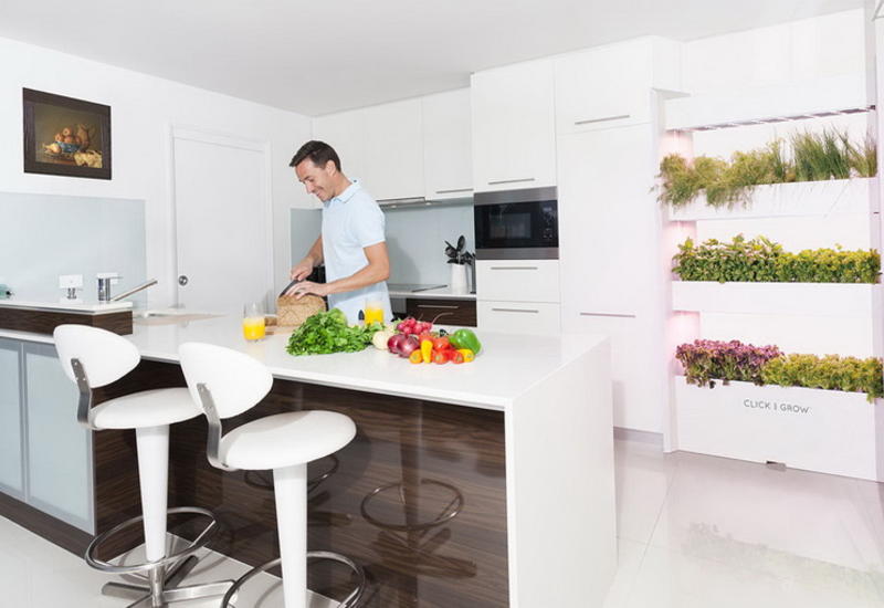 Выращивание овощей и фруктов в домашних условиях