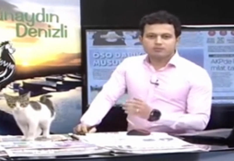 Неожиданный гость во время прямого эфира на турецком канале