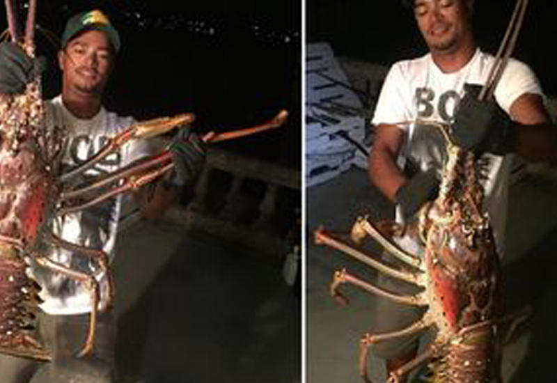Рыболов на Бермудах был шокирован своей необычной добычей