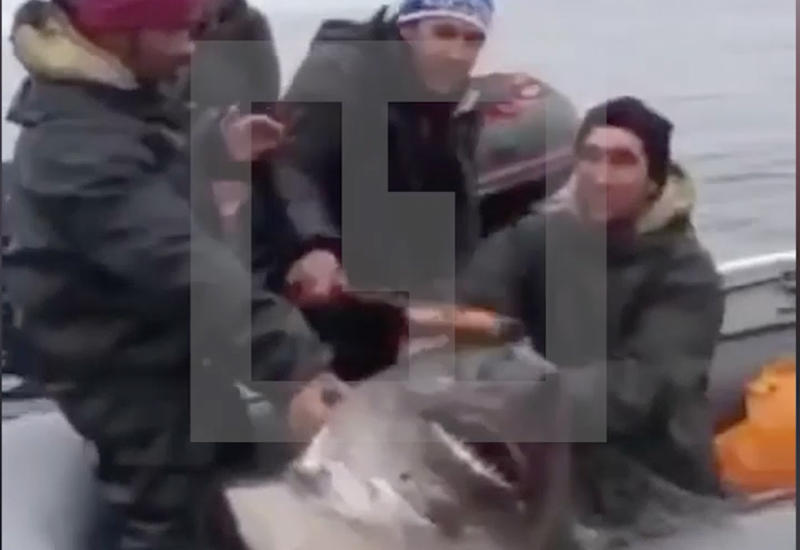 Странная рыбалка дагестанских рыбаков