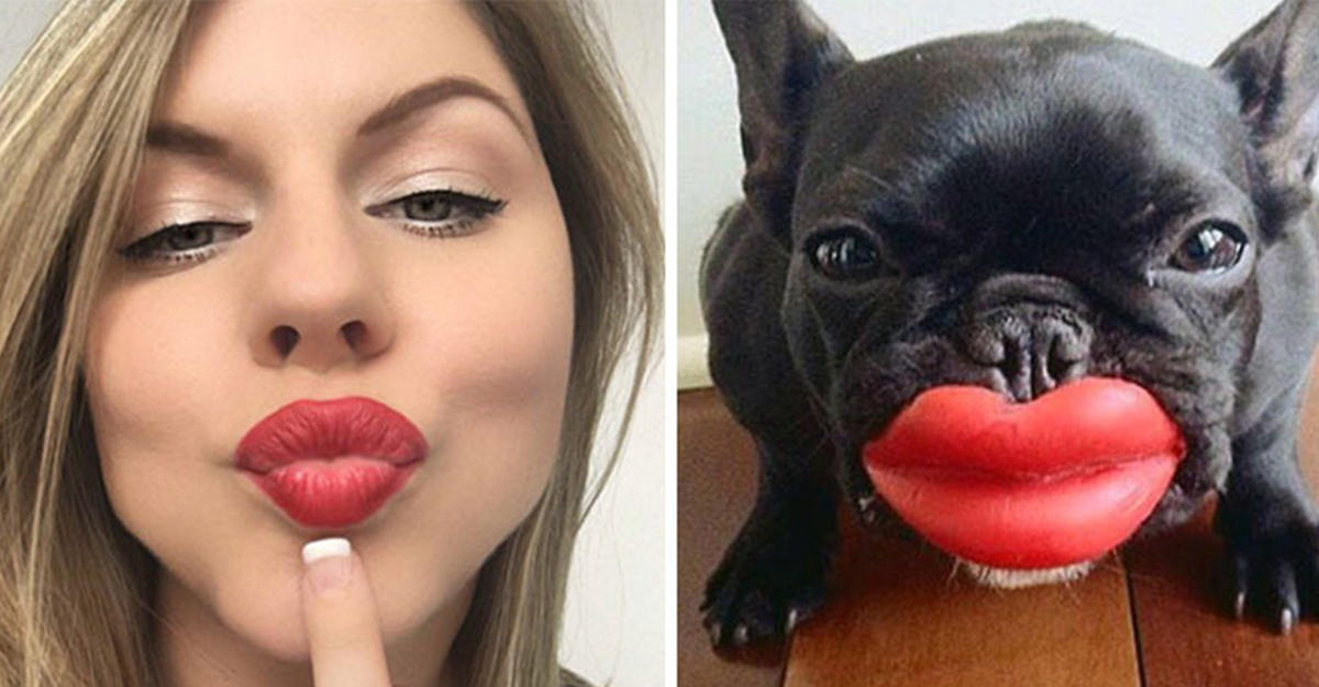 You are dog now. You are dog now