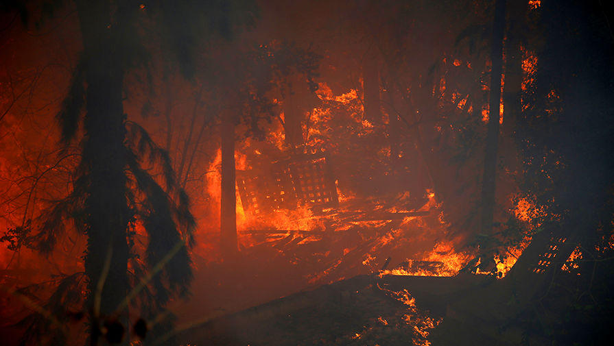 Израиль в огне: ужасающие пожары пожирают все вокруг