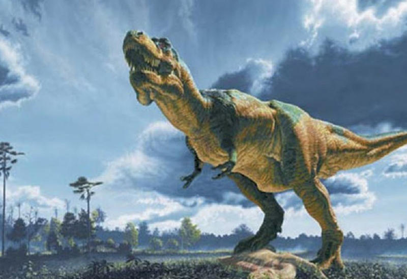 10 нерешаемых тайн динозавров