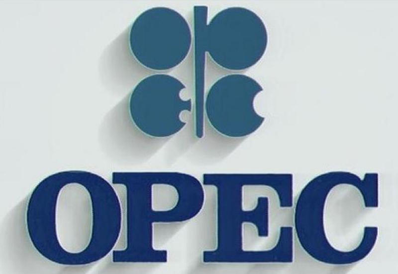 ОПЕК+ может рассмотреть в декабре дополнительное сокращение добычи нефти
