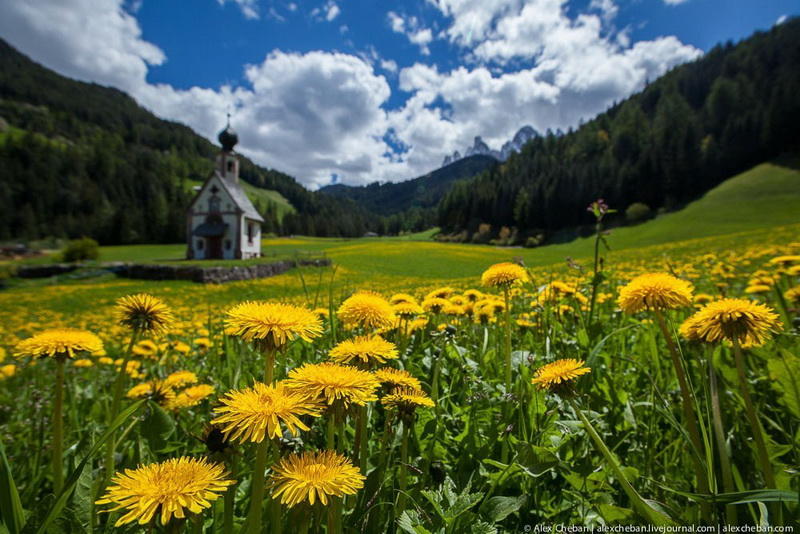 Величественная красота Альп, утопающих в зеленых лугах