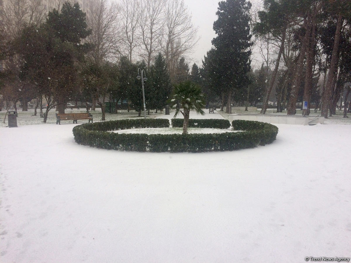 Cнежный пейзаж Баку