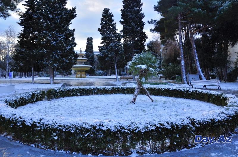 Снежная сказка в Баку