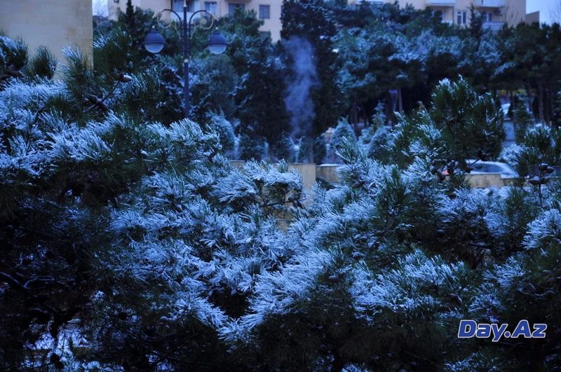 Снежная сказка в Баку