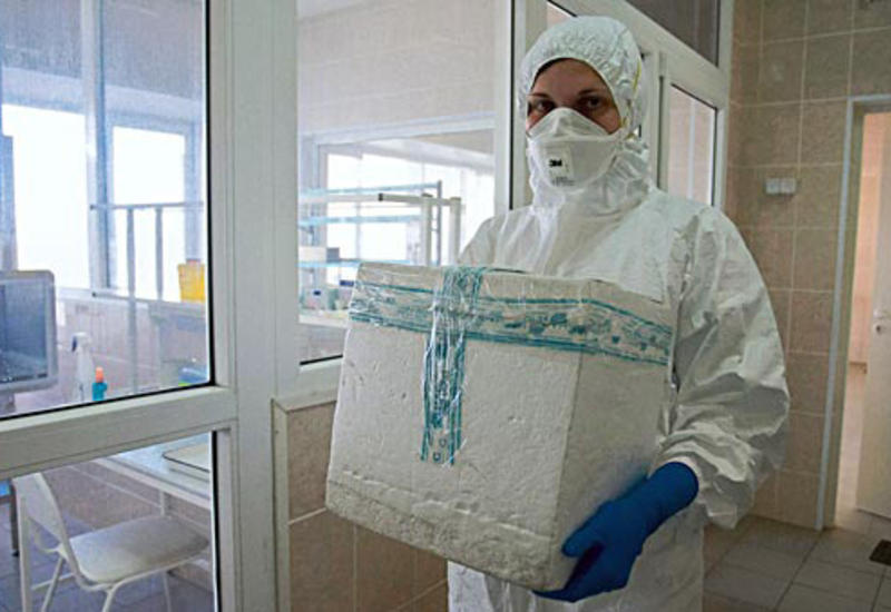 В Чехии впервые за 10 лет обнаружили птичий грипп