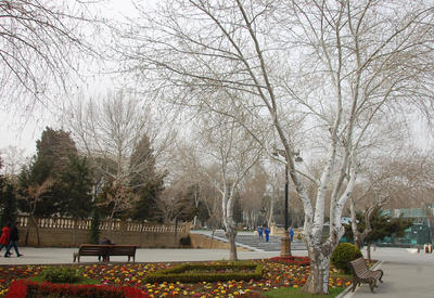 Какой будет погода в феврале? <span class="color_red">- ПОДРОБНОСТИ</span>