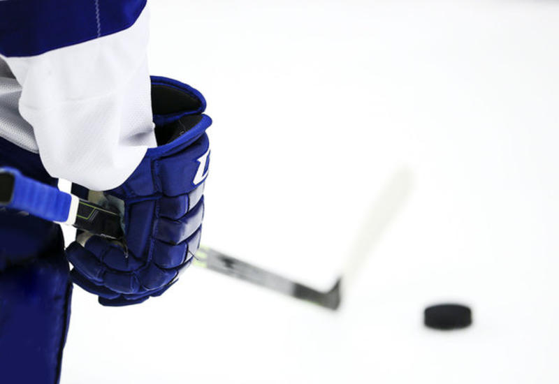 Хоккеист на матче НХЛ разбил лицо болельщику