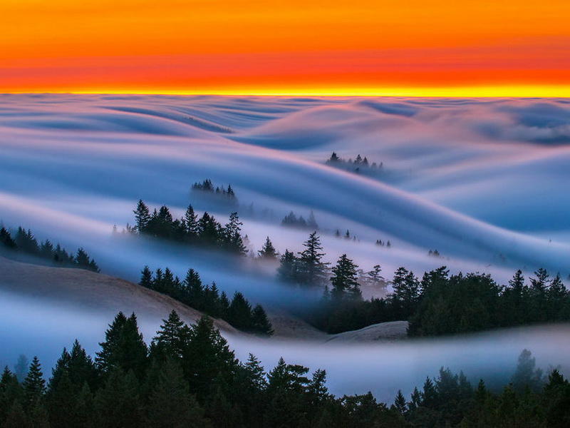 Потрясающие снимки тумана, похожие на сновидения