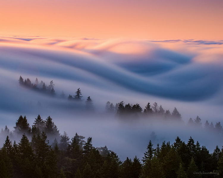 Потрясающие снимки тумана, похожие на сновидения