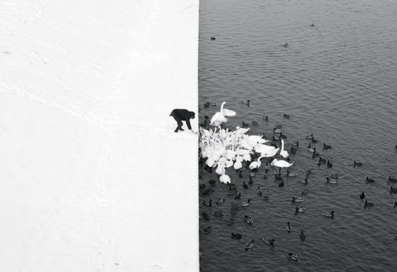 Лучшие чёрно-белые снимки фотоконкурса Siena International Photography Awards 2016