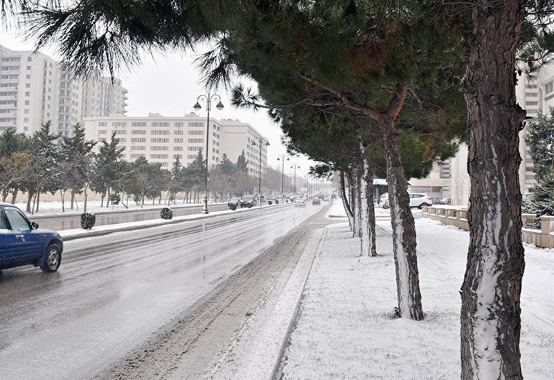 Синоптики о снежной погоде в Баку
