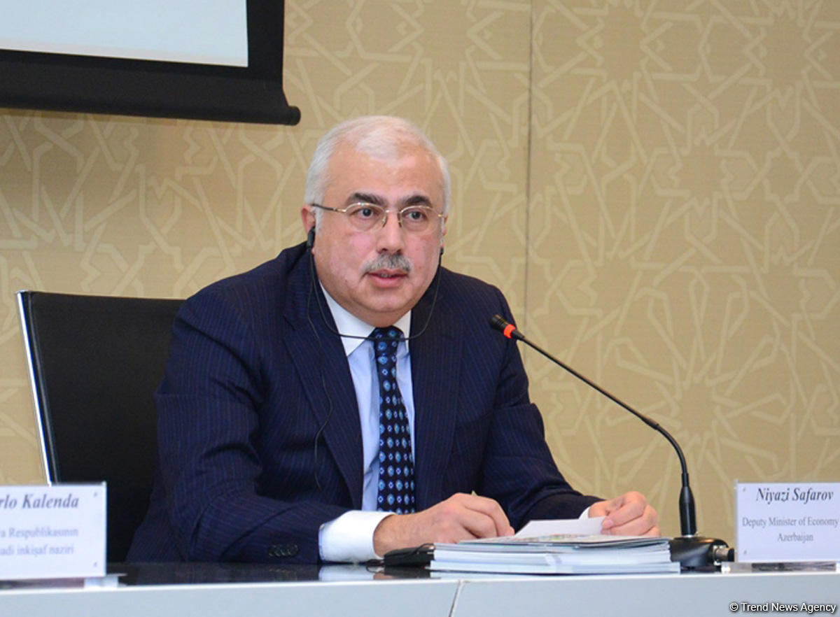 Замминистра Азербайджана о приоритетных сферах сотрудничества с Италией