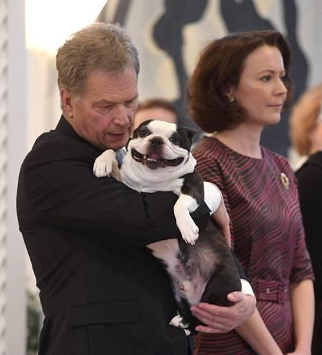 Улыбчивая собака президента Финляндии покорила Интернет