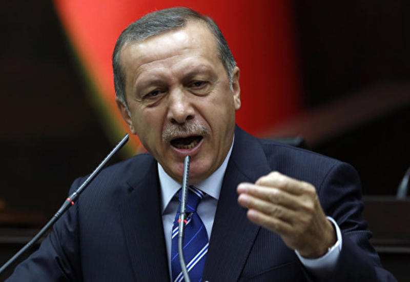 Эрдоган: Нидерланды заплатят за то, что пренебрегли отношениями с Турцией