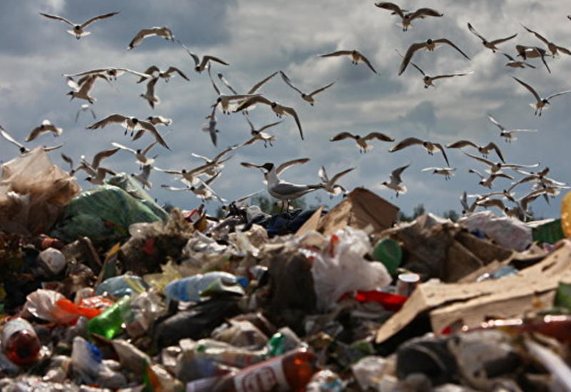 В Эфиопии при обвале гигантской мусорной свалки погибли 15 человек
