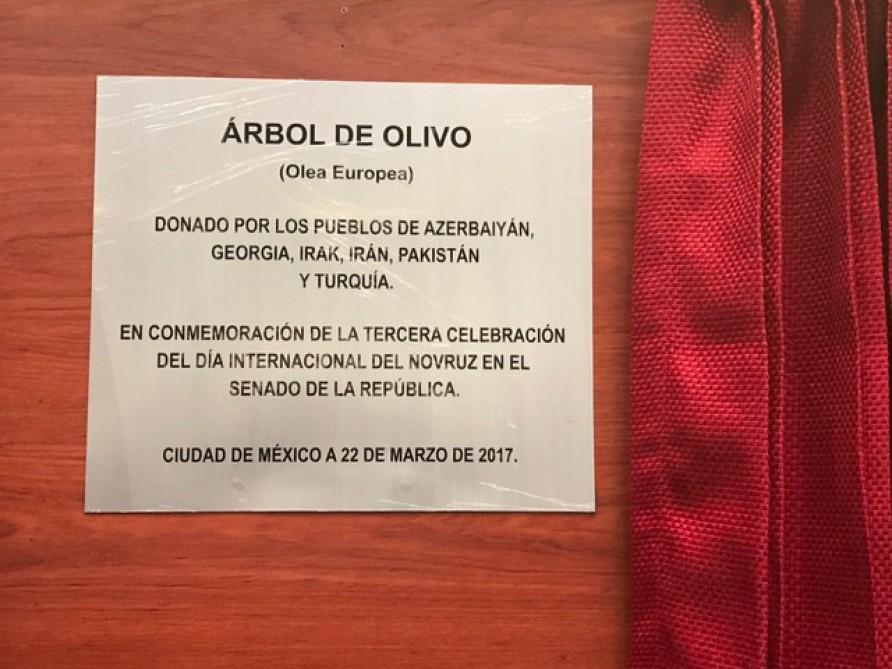 В Сенате Мексики торжественно отмечен Новруз
