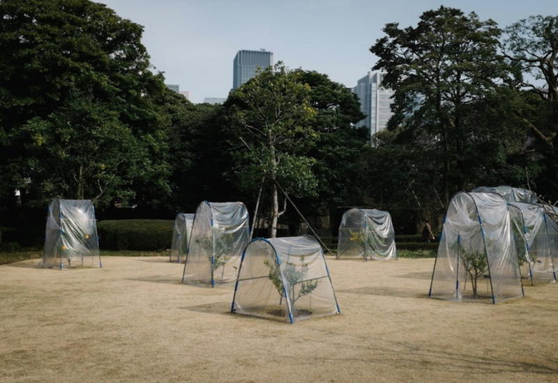Сто лет одиночества в Токио: взгляд одного фотографа